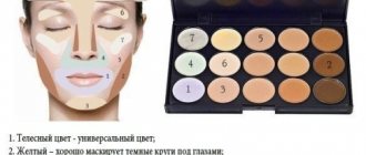 How to use facial concealer. Step-by-step instructions with photos, diagram: foundation, liquid, dry, colored, pencil, palette 