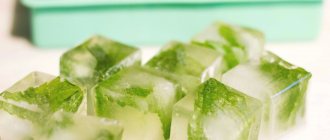 Ice cubes with parsley