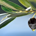 Положительный эффект от применения оливкового масла