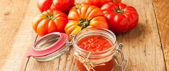 Garden tomato puree in a jar