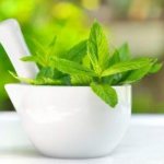 Properties of mint and uses for health, beauty and tranquility