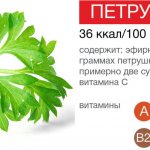 Vitamin and mineral composition of parsley