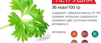 Vitamin and mineral composition of parsley